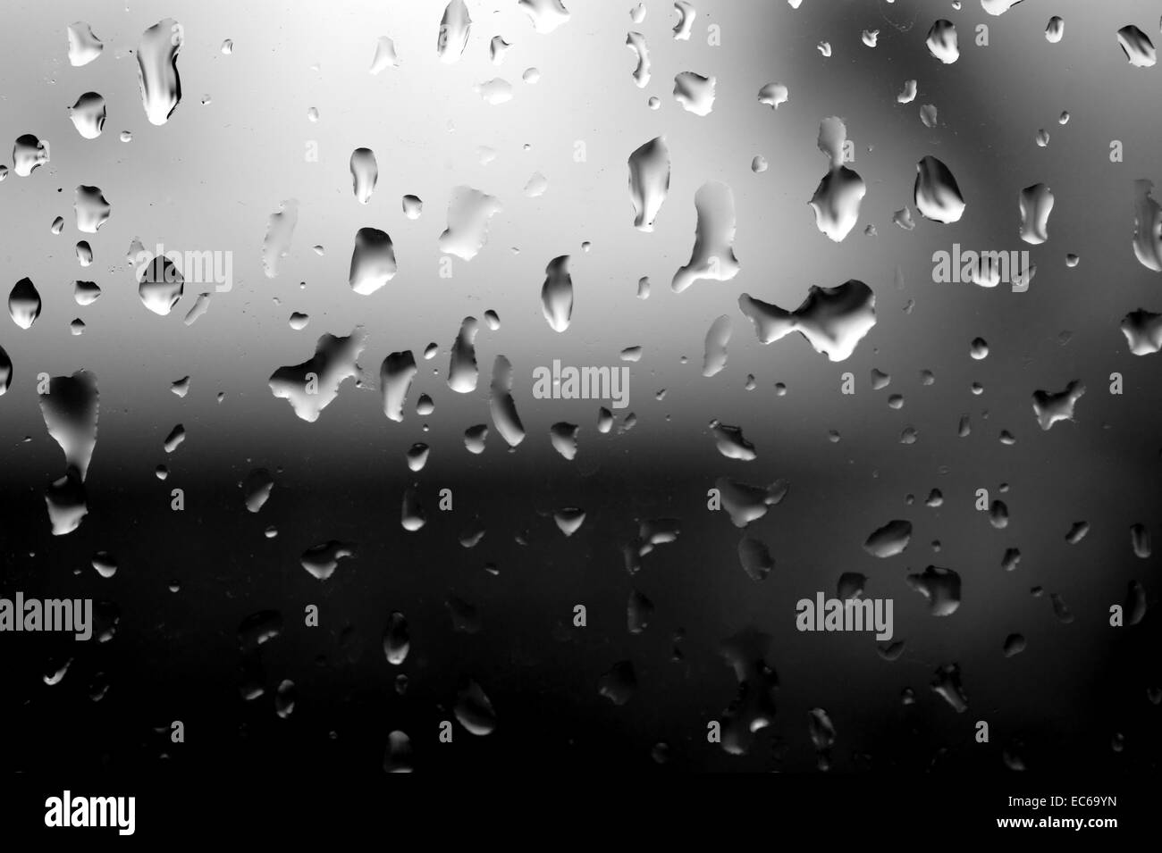 Le gocce di pioggia Foto Stock