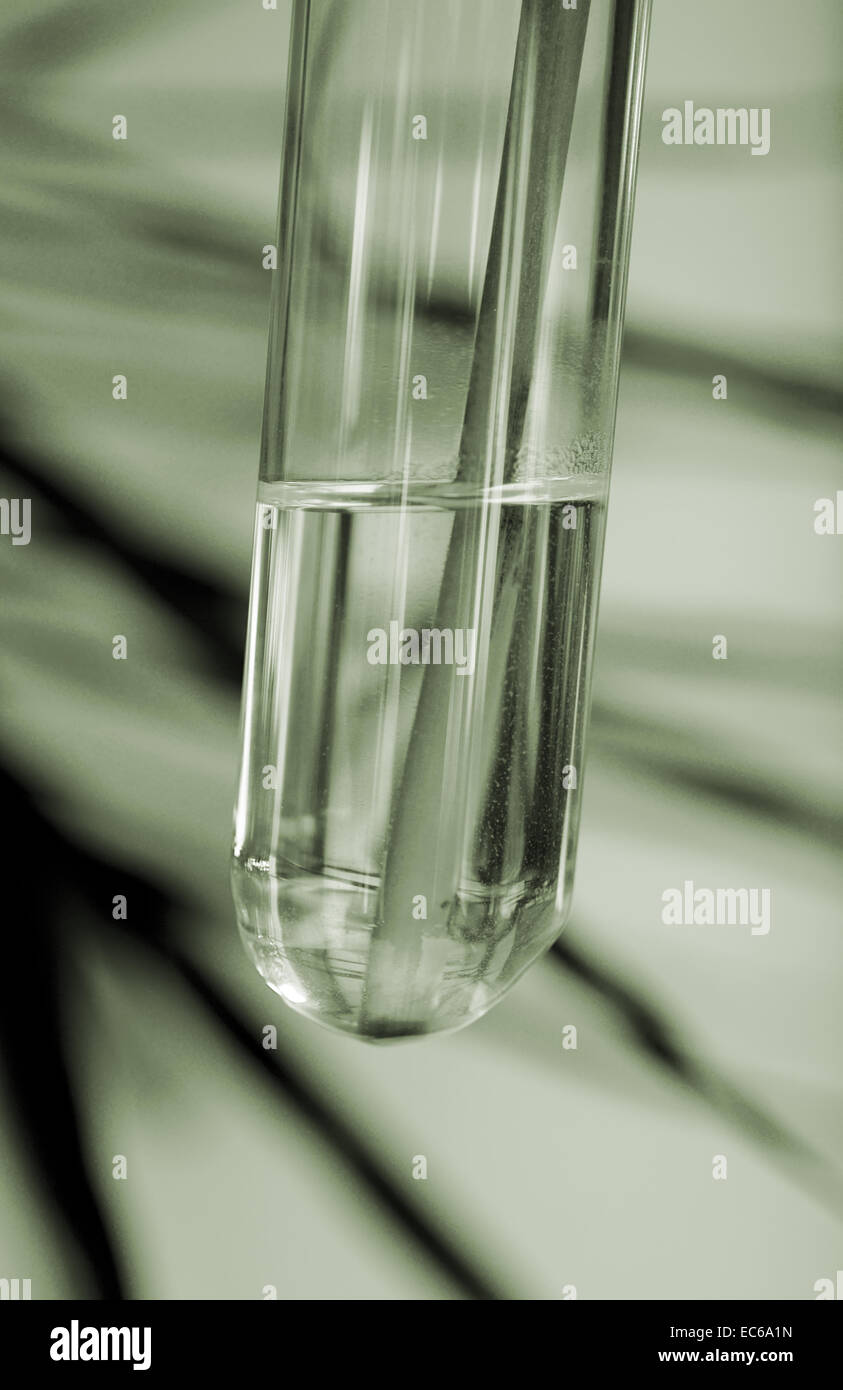 Vaso di provetta Foto Stock
