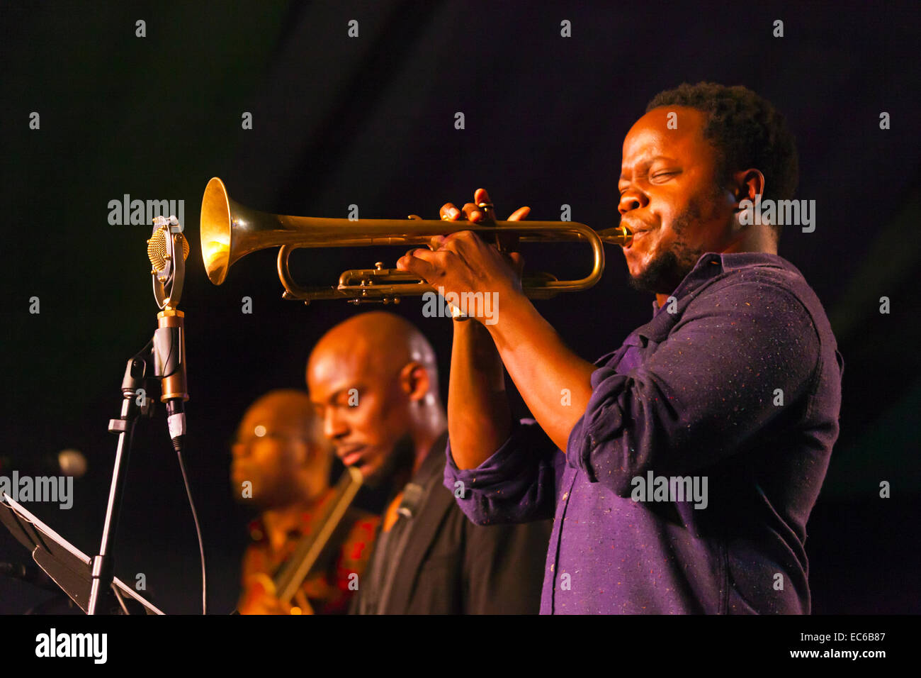 AMBROSE AKINMUSIRE suona la tromba con una tribute band per Blue Note Records 75esimo anniversario al 2014 MONTEREY JAZZ FESTIVAL Foto Stock