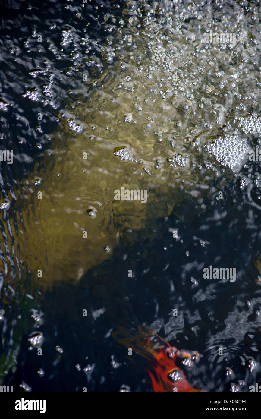 Pompa ossigeno nello stagno Foto Stock