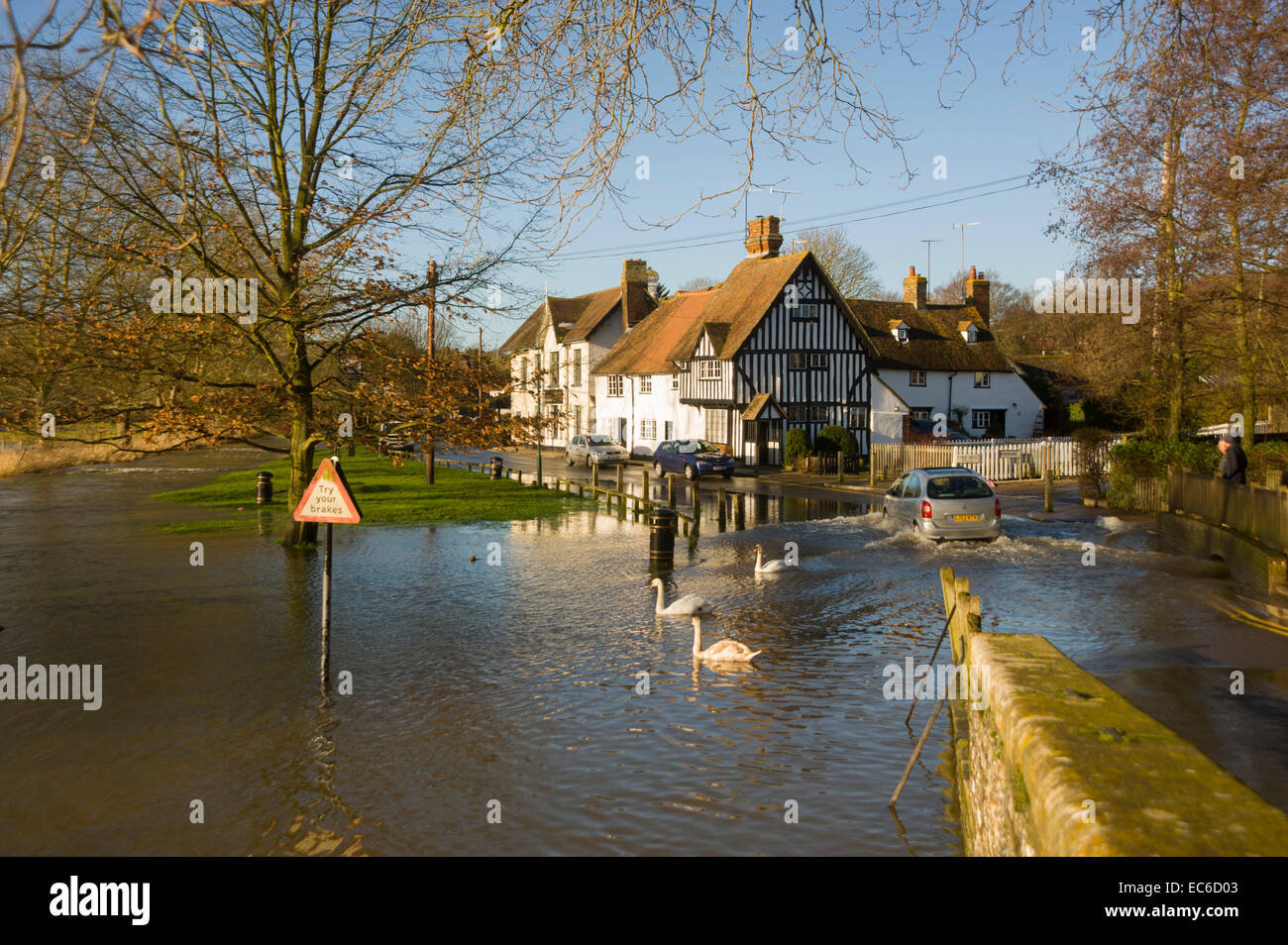 Il fiume Darent nel diluvio a Eynesford. d'inverno. Foto Stock