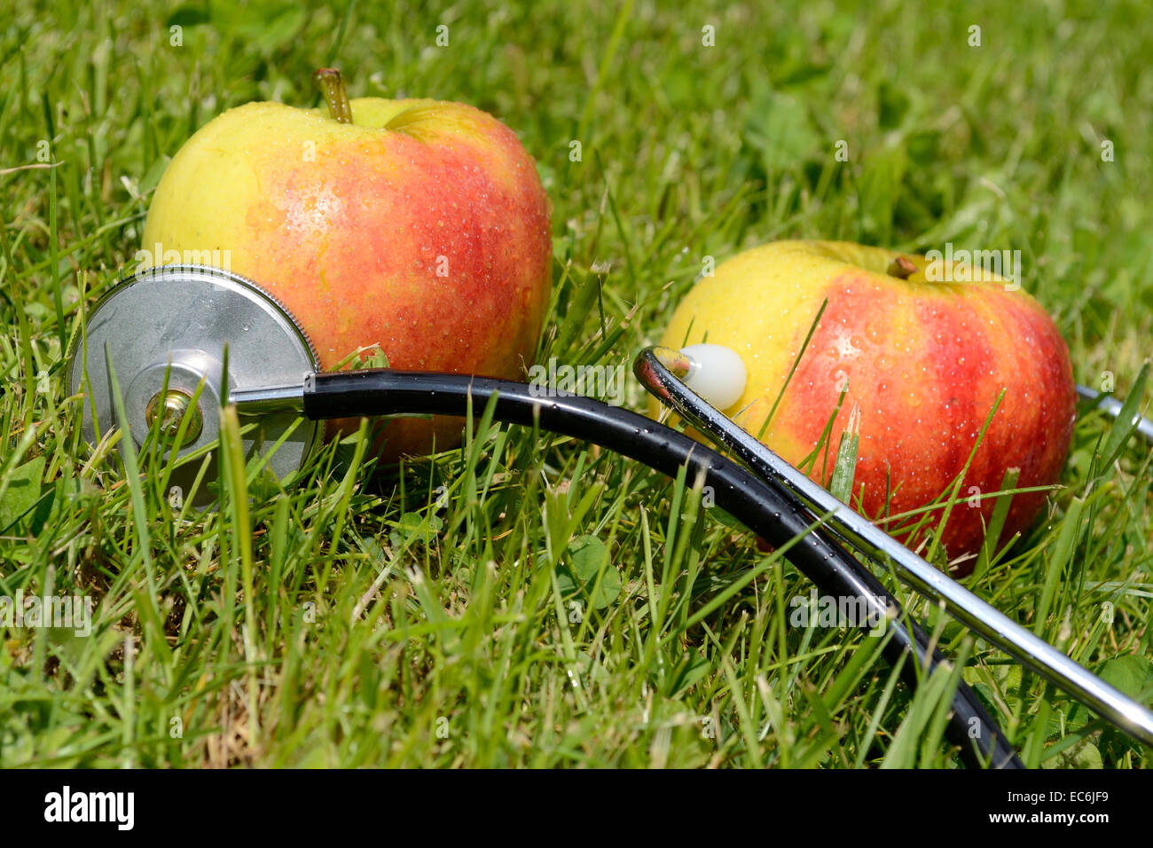 Due mele nel prato, collegato con uno stetoscopio Foto Stock
