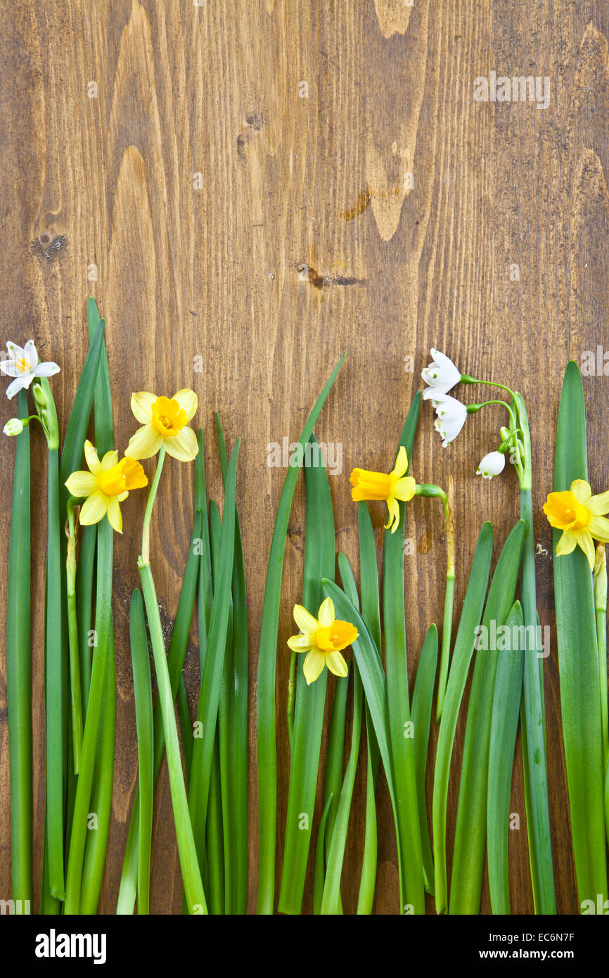 Concetto di Pasqua Foto Stock