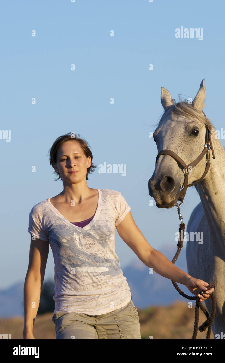 Giovane donna camminare un cavallo bianco con capezza Foto Stock