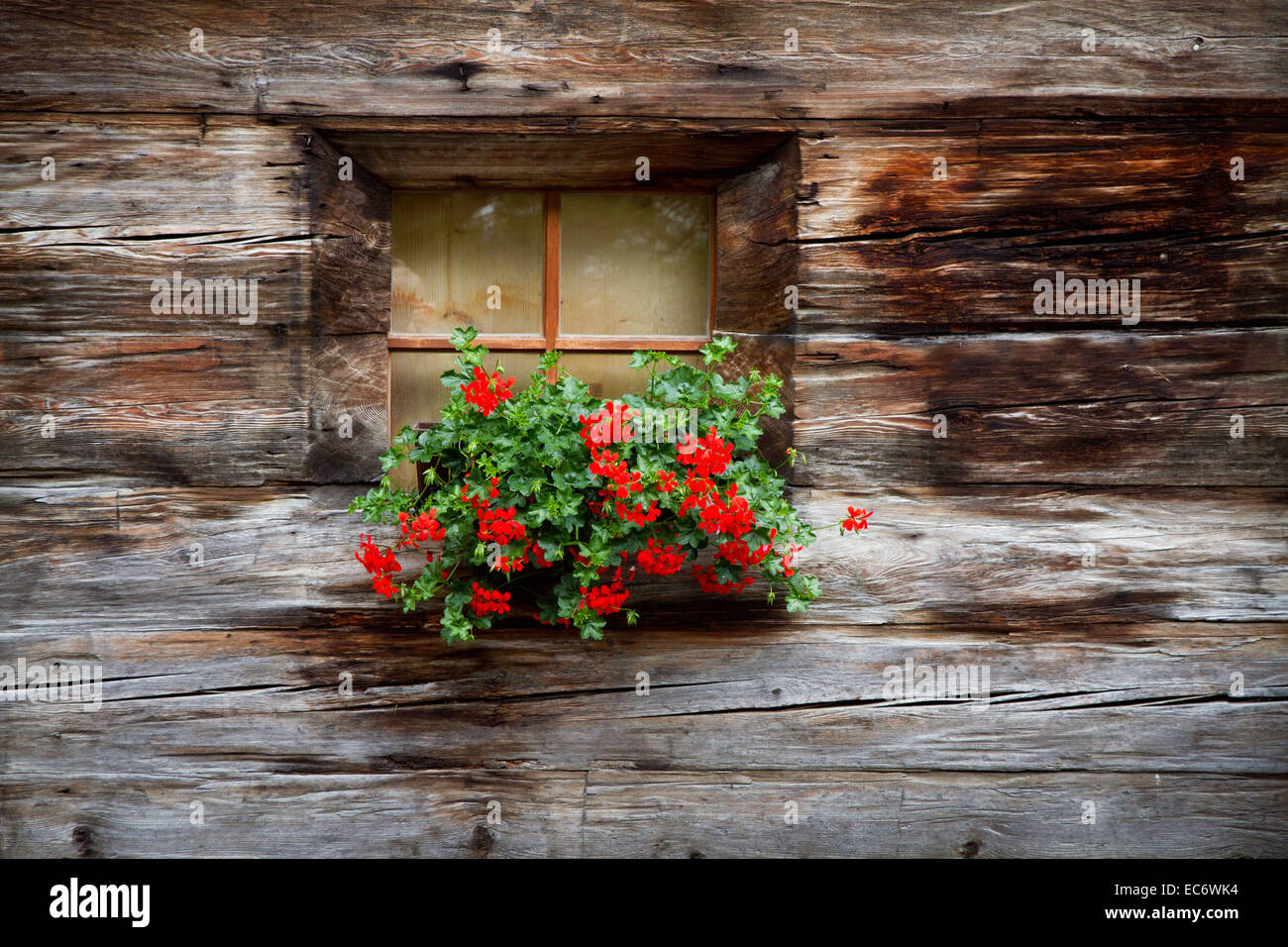 Decorate con fiori tradizionale casa in legno Foto Stock