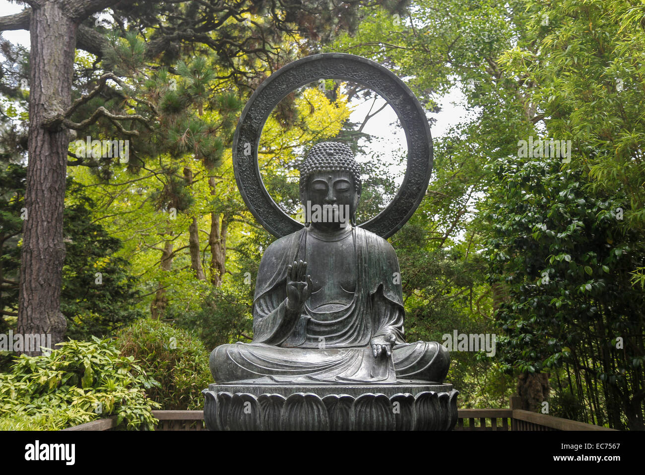 Il bronzo statua del Buddha espressi nel 1790 in Giappone e dato nel 1949 il giardino giapponese del tè, Golden Gate Park di san francisco Foto Stock