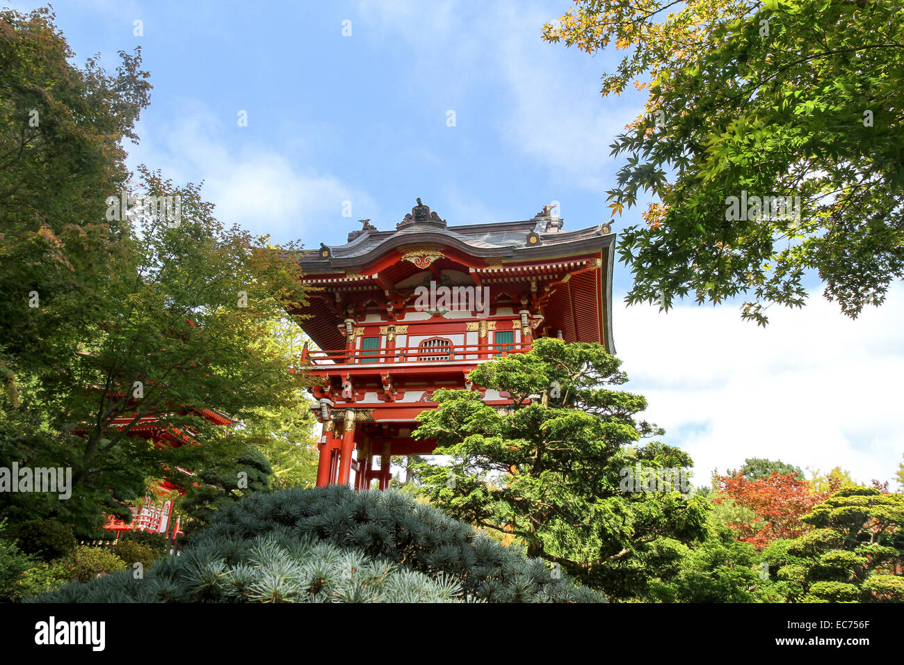 Pagoda, giardino giapponese del tè, Golden Gate Park di San Francisco Foto Stock