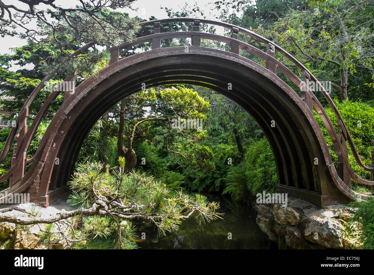 Ponte della Luna, giardino giapponese del tè, Golden Gate Park di San Francisco, California Foto Stock