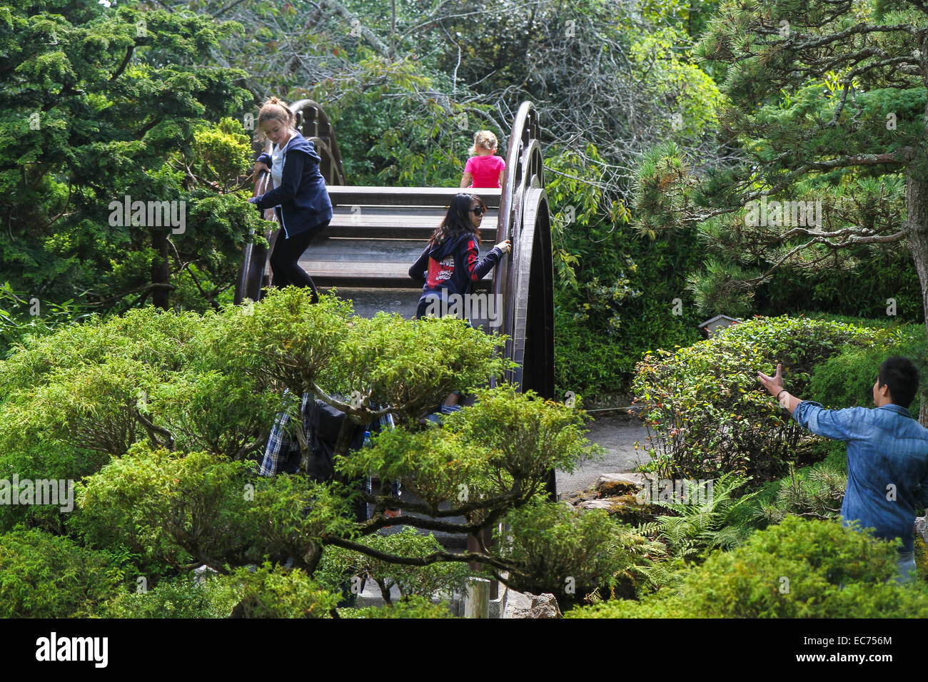 Persone su e attorno alla Luna Bridge, giardino giapponese del tè, Golden Gate Park di San Francisco Foto Stock