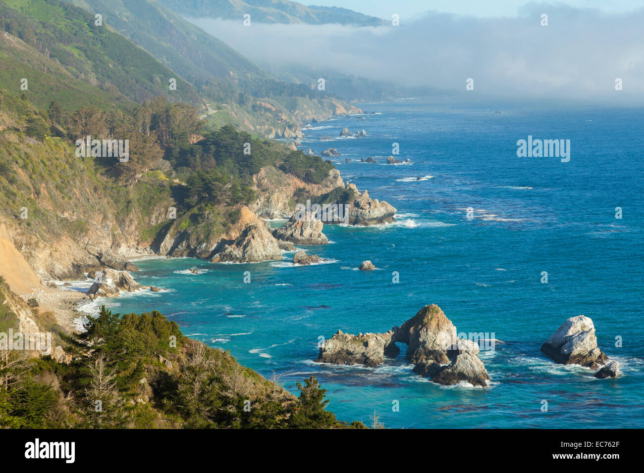 Big Sur, costa californiana Foto Stock