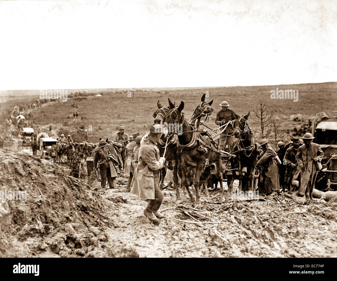 Scosse privato cercando di spostare i muli trasporta un americano di munizioni carro bloccato in strada, tenendo l'anticipo di tutta la colonna. San Baussant, a est di San Mihiel, Francia, settembre 13, 1918. Foto Stock