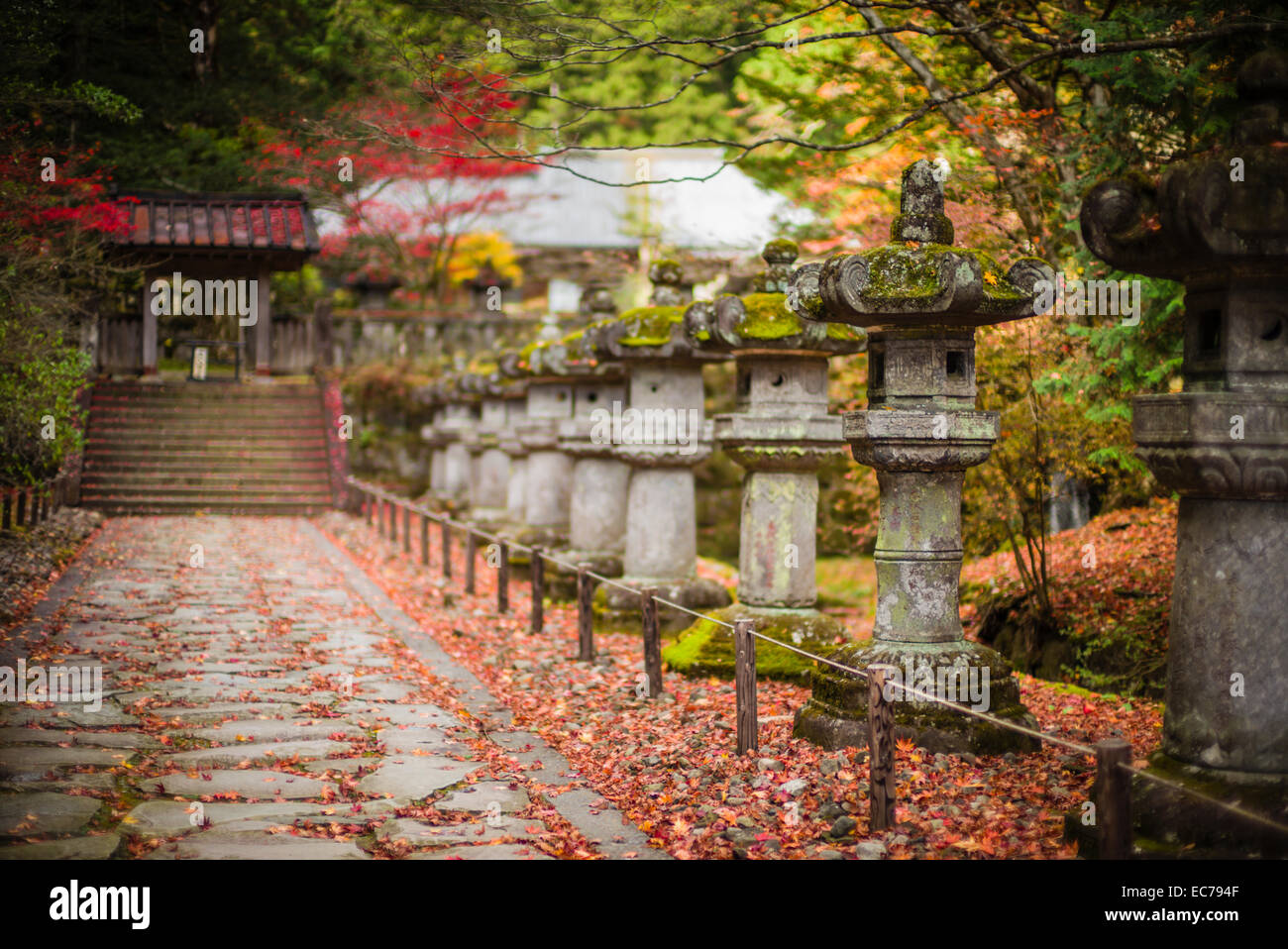 Lanterne di pietra passerella al Nikko, Giappone. Foto Stock