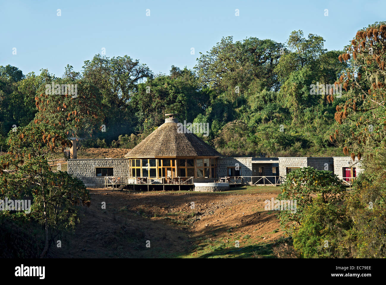 Balla Mountain Lodge, foresta di Harenna, montagne di balle, Oromiya, Etiopia Foto Stock