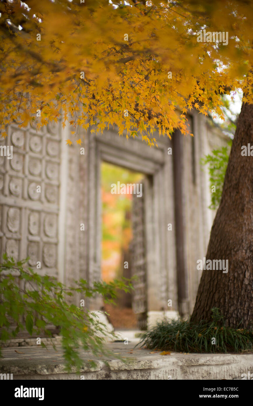 Giardino giapponese ingresso al corridoio di acero, Kawaguchiko, Giappone. Foto Stock