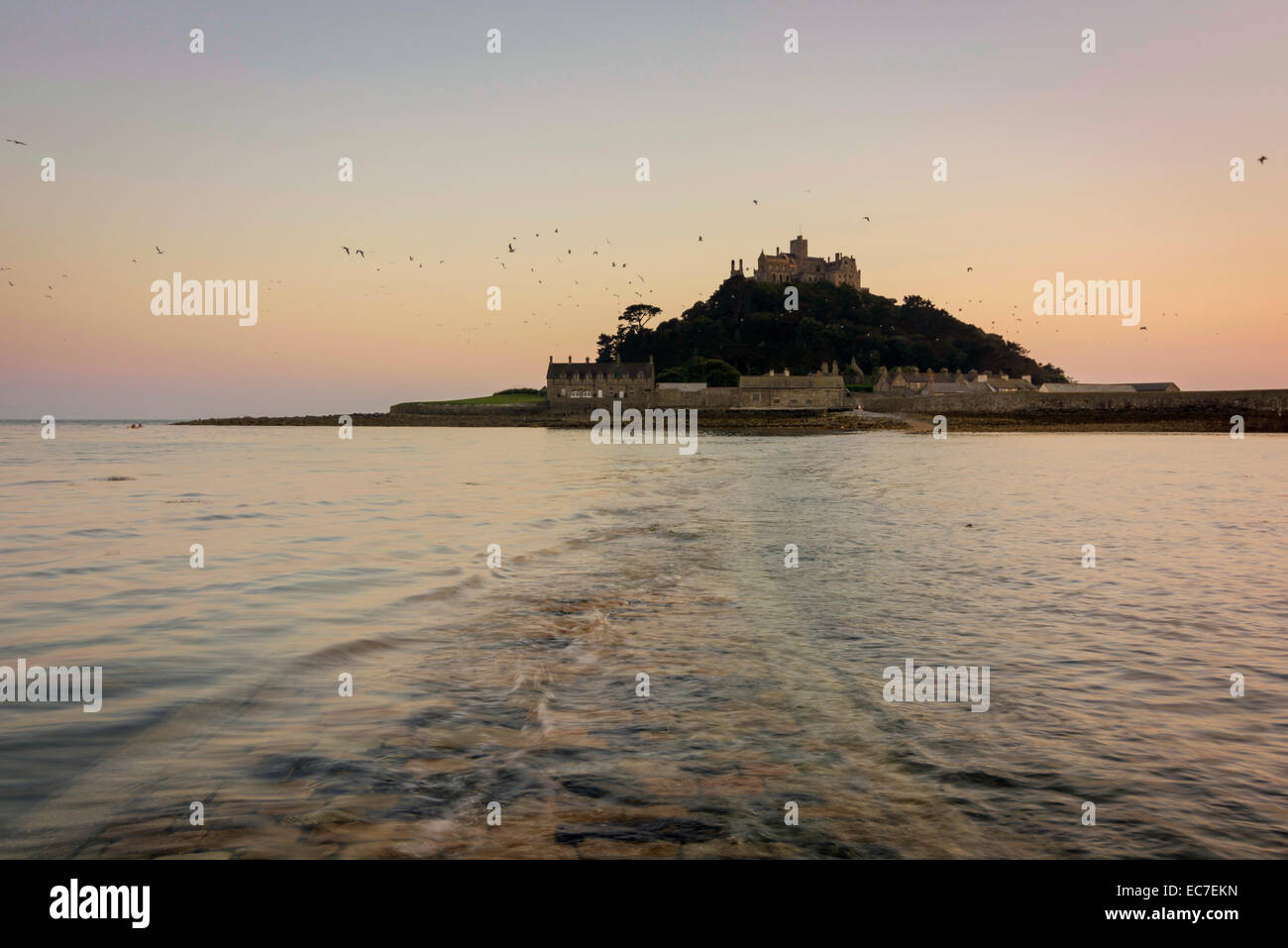 Regno Unito, Inghilterra, Cornwall, isola di marea St Michael's Mount al crepuscolo Foto Stock