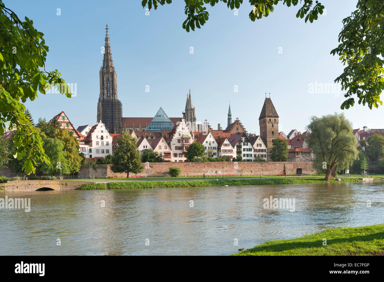 Germania Baden-Wuerttemberg, Ulm Minster e Metzgerturm al fiume Danubio Foto Stock