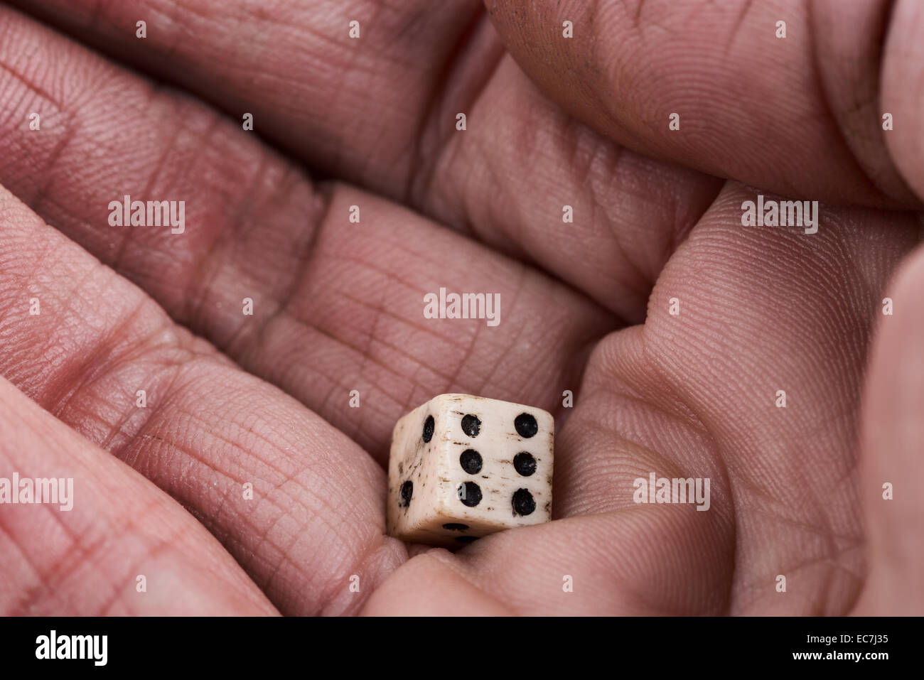 Un vecchio stile vittoriano di dadi di osso tenuto nel palmo di una mano pronta per essere gettati e la sorte dei passi della filiera trovato lato superiore 6 Foto Stock