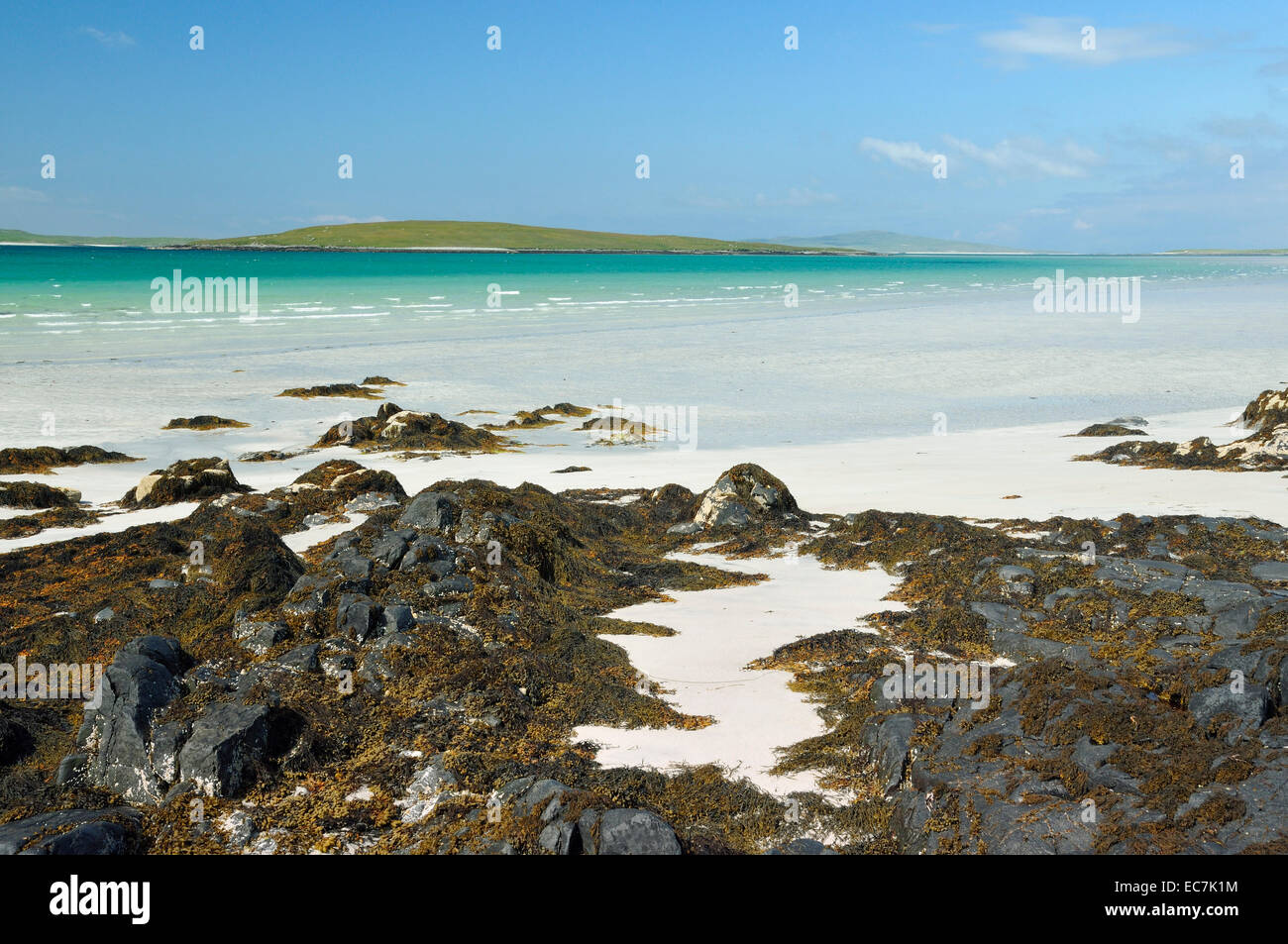 Guscio bianco sabbia spiaggia di Traigh Lingeigh, con Lingeigh Isola, Lingay Strand, North Uist Foto Stock