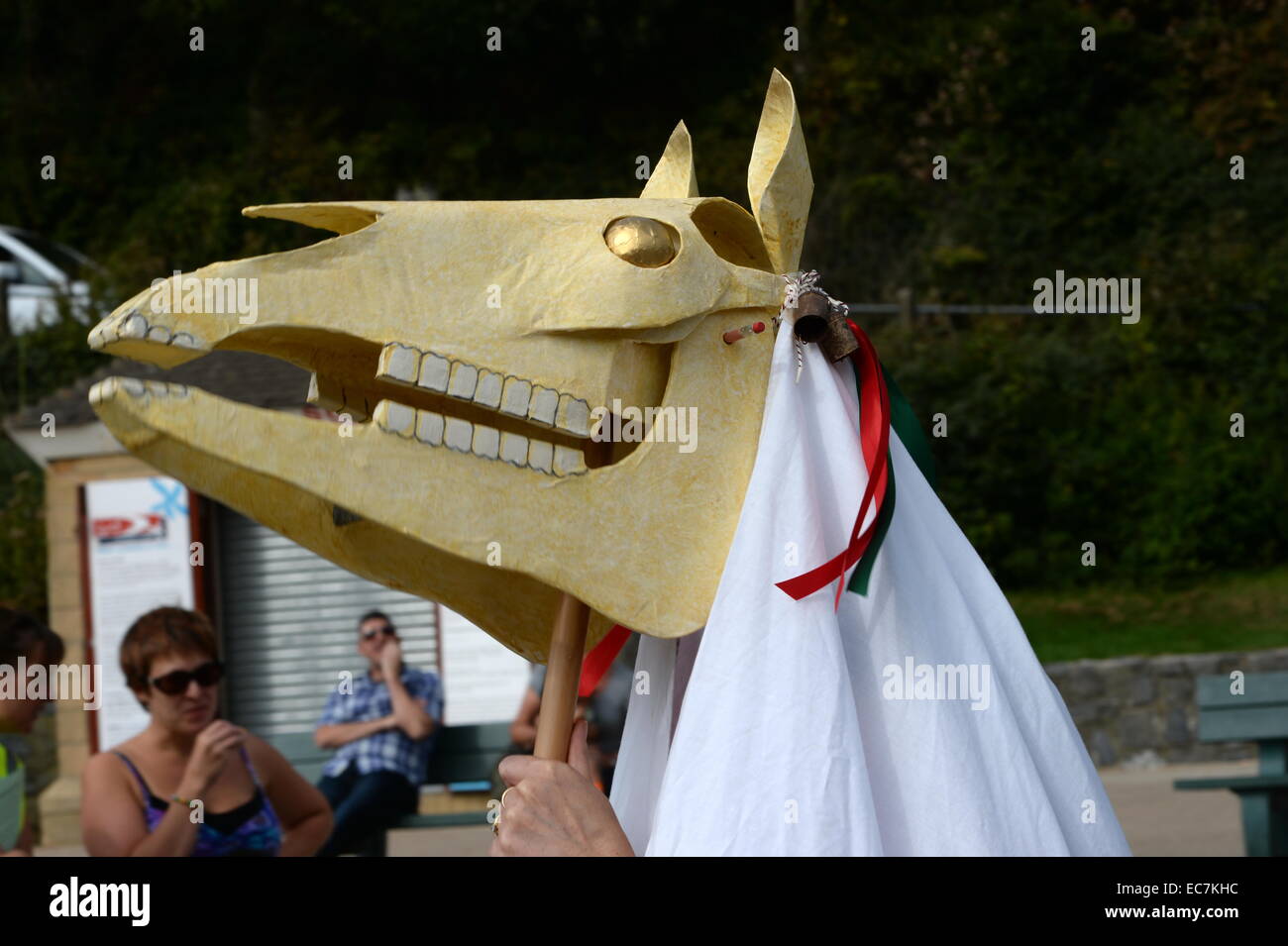 I Mari Lwyd grigio Mare o 'Gray Mary' , utilizza una testa di cavallo come parte di un Welsh midwinter tradizione. Foto Stock