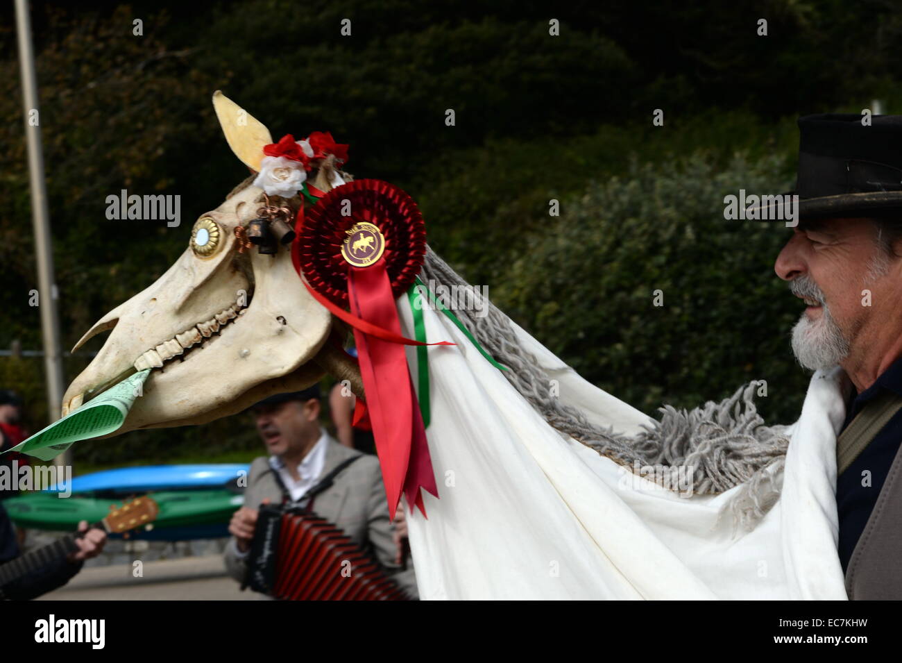 I Mari Lwyd grigio Mare o 'Gray Mary' , utilizza una testa di cavallo come parte di un Welsh midwinter tradizione. Foto Stock