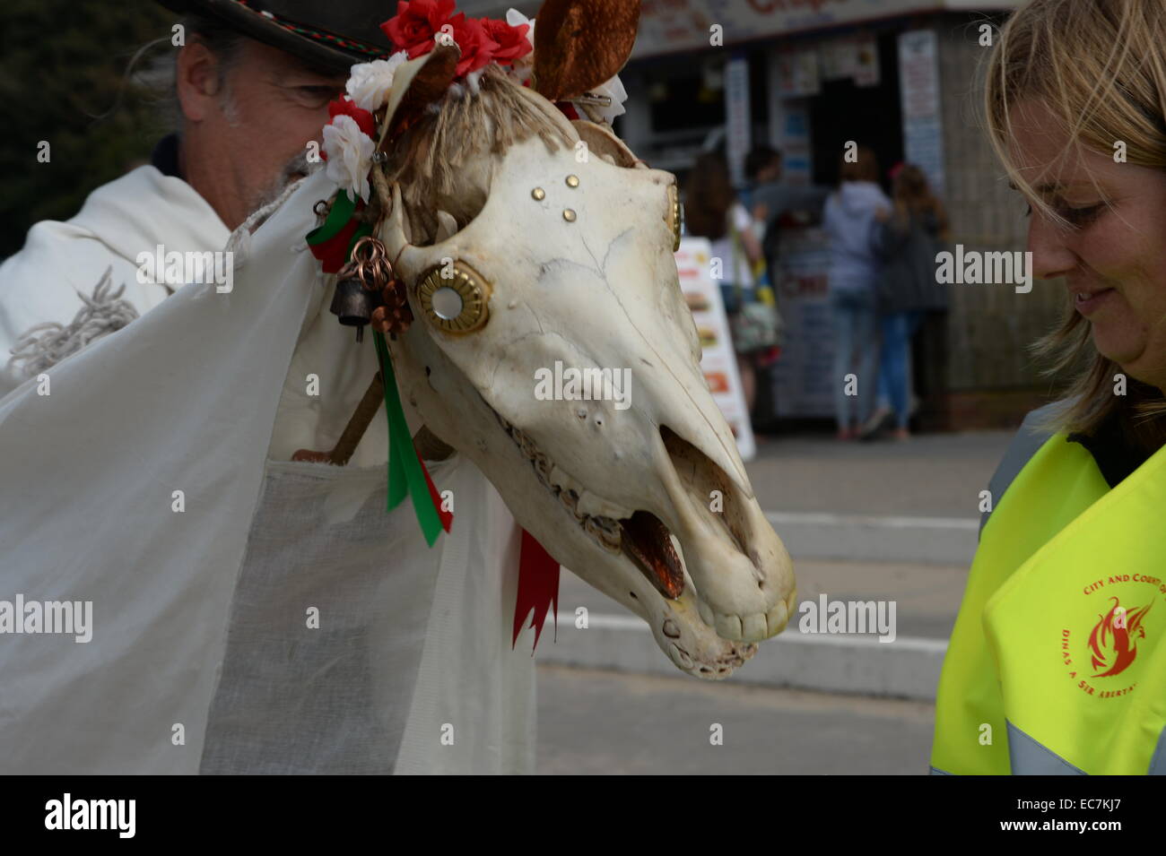 I Mari Lwyd grigio Mare o 'Gray Mary' , utilizza una testa di cavallo come parte di un Welsh midwinter tradizione. Foto Stock