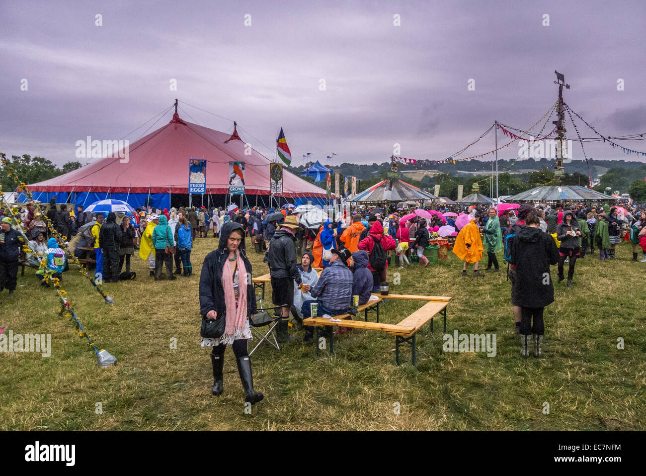 William Green presso il festival di Glastonbury nel Somerset. Foto Stock