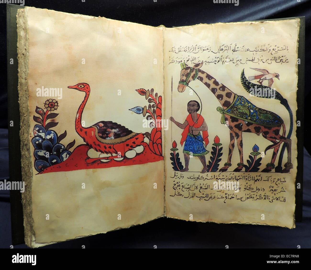 Cartografia e geografia. Avanza in zoologia, botanica, di astronomia e di navigazione e informazioni portate dai commercianti, scienziati, pellegrini ed esploratori ha comportato notevoli progressi nella geografia e ammessi gli studiosi musulmani di sviluppare altamente accurate mappe e globi terrestri. Queste mappe di cui la fondazione per i viaggi in tutto il mondo di più tardi esploratori europei. Foto Stock