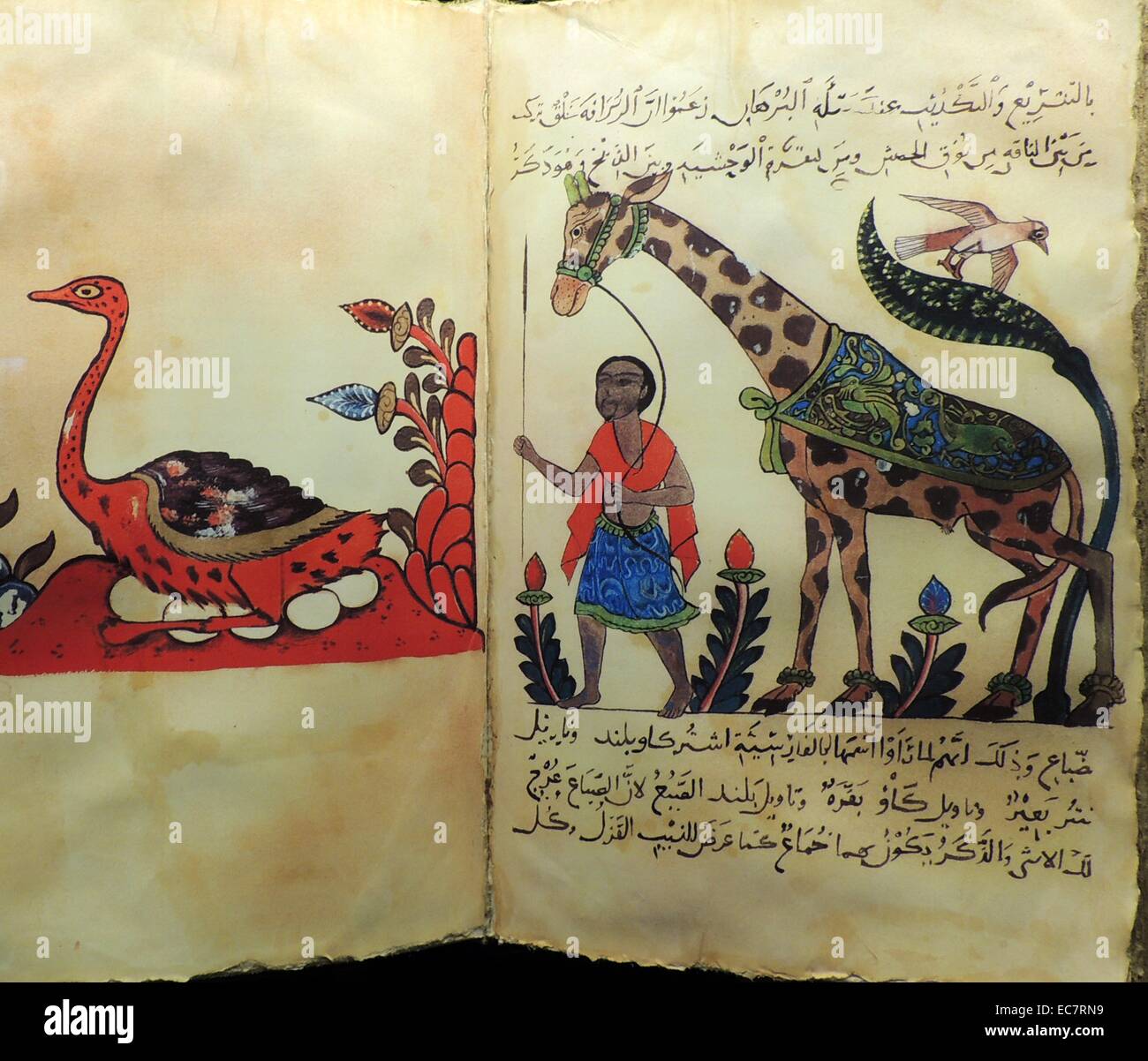 Cartografia e geografia. Avanza in zoologia, botanica, di astronomia e di navigazione e informazioni portate dai commercianti, scienziati, pellegrini ed esploratori ha comportato notevoli progressi nella geografia e ammessi gli studiosi musulmani di sviluppare altamente accurate mappe e globi terrestri. Queste mappe di cui la fondazione per i viaggi in tutto il mondo di più tardi esploratori europei. Foto Stock