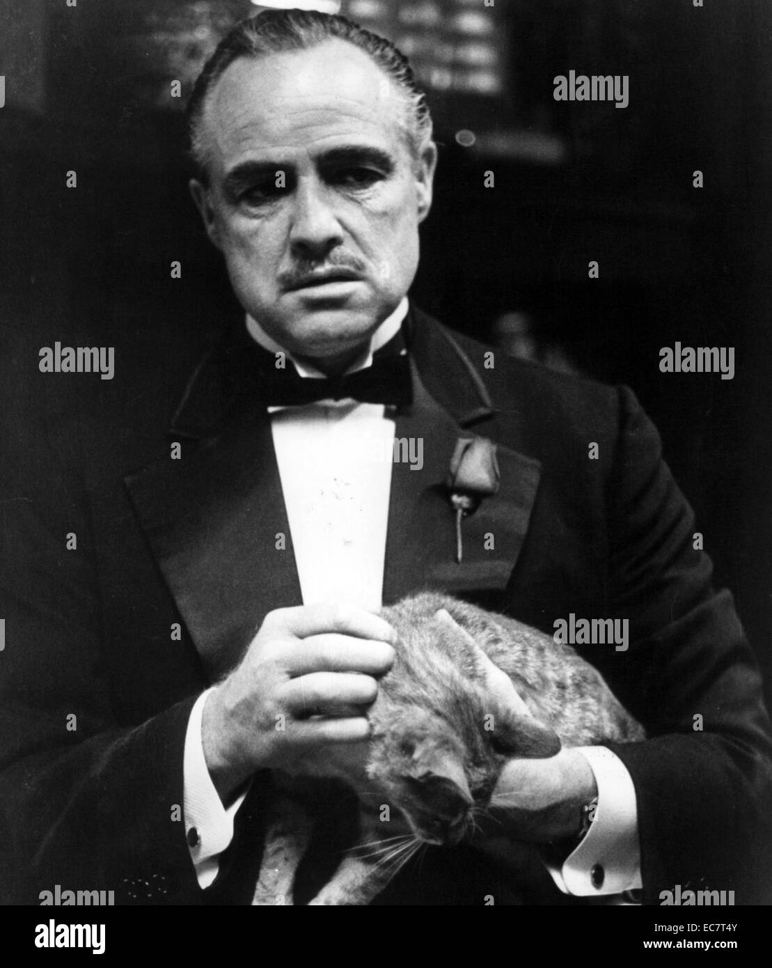 Il Padrino è un 1972 crimine americano film diretto da Francis Ford Coppola e prodotta da Albert S. Rubicondo da una sceneggiatura di Mario Puzo e Coppola. Sulla base di Puzo's 1969 romanzo dello stesso nome, la star di film Marlon Brando e Al Pacino come il leader di una fittizia New York famiglia criminale. Foto Stock