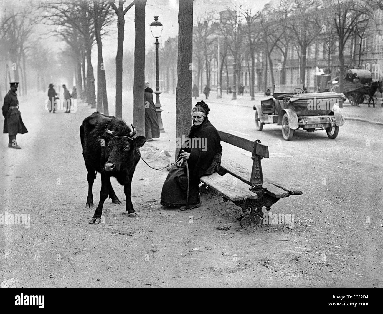 Vecchia donna con una vacca, si siede su un banco di lavoro. È costretta a fuggire la warzone. Prese durante la Prima Guerra Mondiale, in Amiens, Francia, 1918. Foto Stock