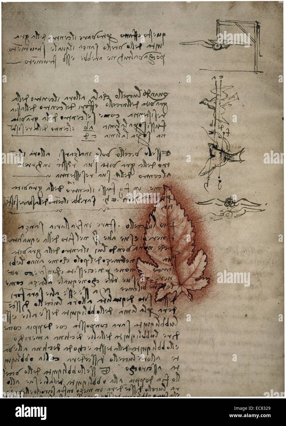 Codice sul volo degli uccelli; circa 1505. Da Leonardo da Vinci. Foto Stock