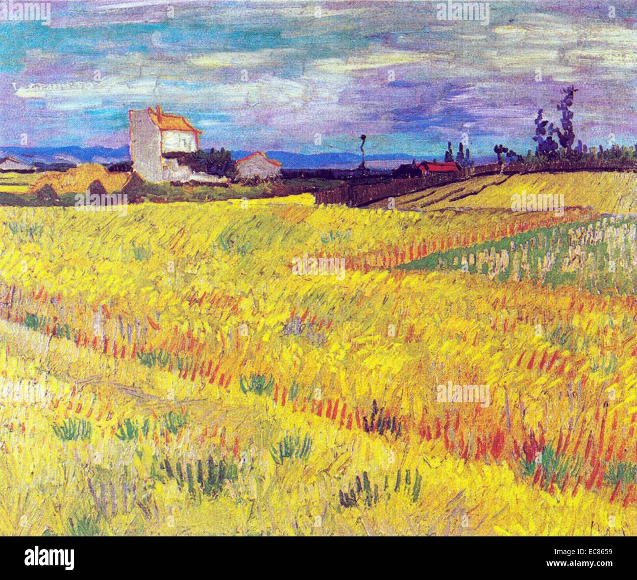 Wheatfield' di Vincent Van Gogh (1853-1890) un post-pittore impressionista di origine olandese. Datata 1889. Foto Stock