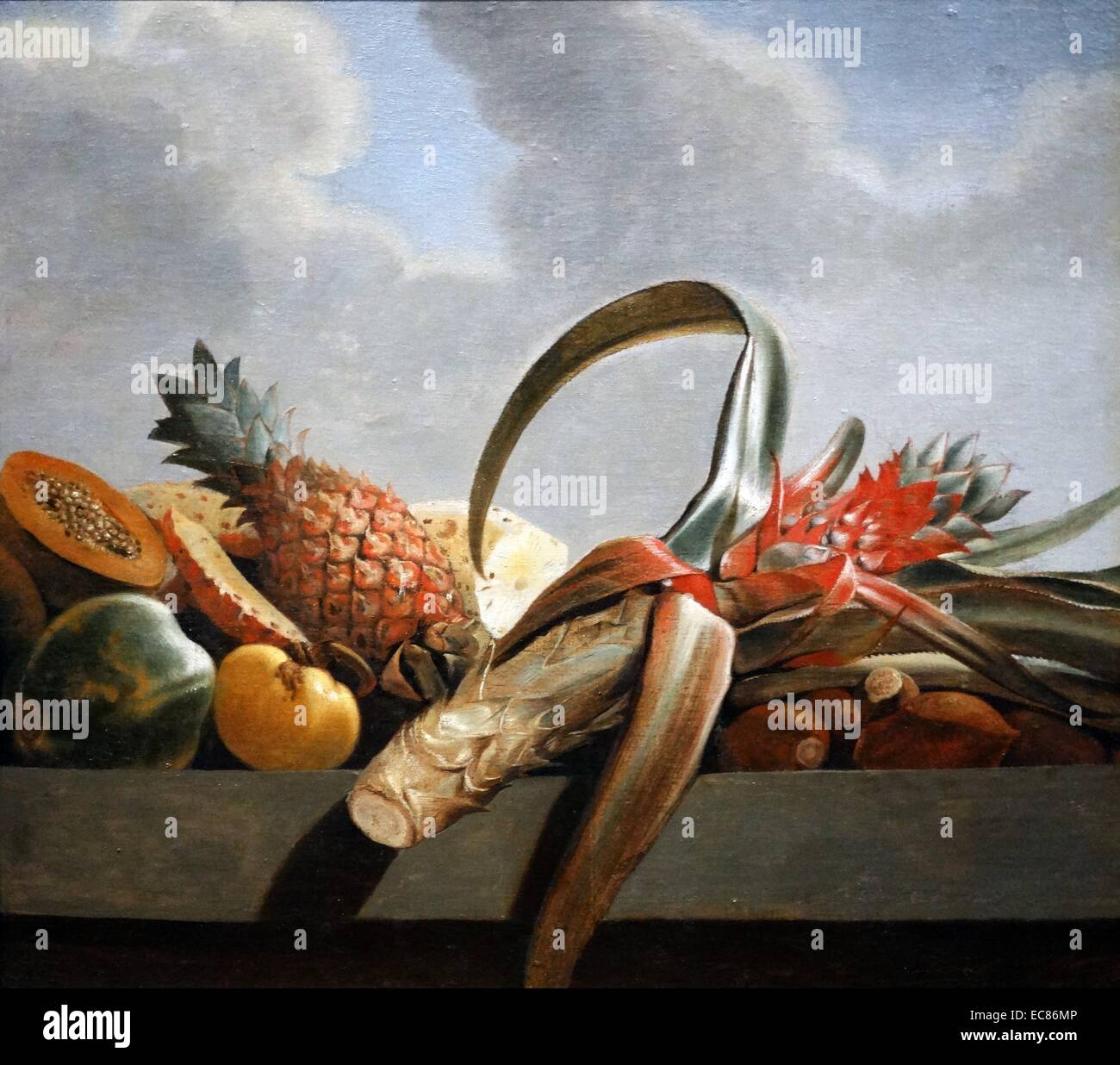 Natura morta con ananas e altri frutti. Dipinto da Albert Eckhout (1610-1666) risalenti al XVII secolo Foto Stock
