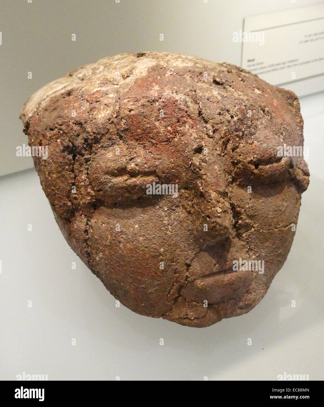 Cranio intonacata, Kefar Hahoresh e Beisamun. Dalla cultura Tahunian 9.000 anni fa, fatta di teschi, gesso e pigmento. Si ritiene che essi pensavano che questa prassi può avere dato un trattamento speciale dopo la morte. Foto Stock