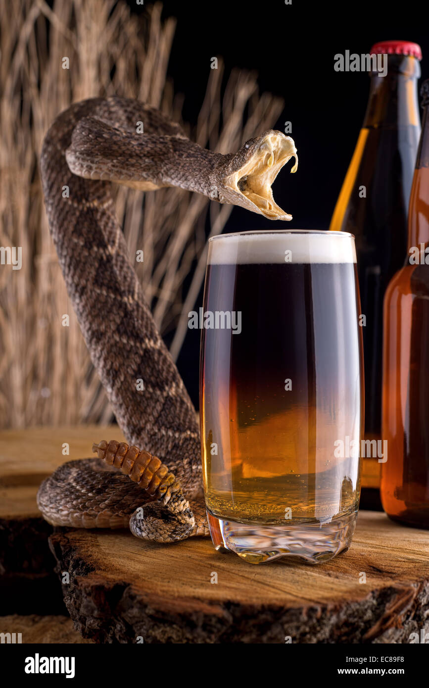 Suit Collection - Taza de café con serpiente (16 fl oz), color verde Anaconda