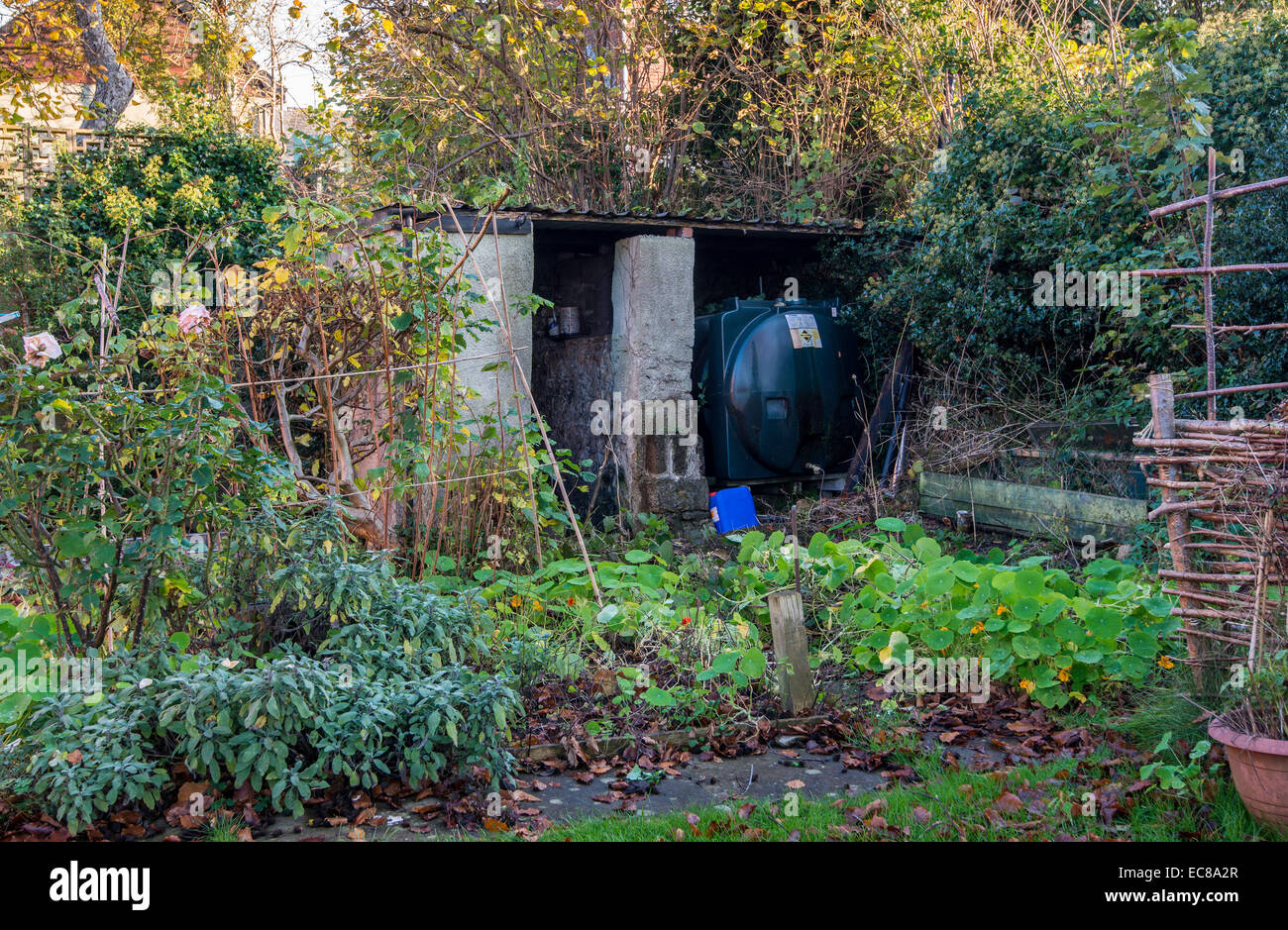 Serbatoio olio in autunno sovradimensionate giardino prima di riordino per l'inverno Foto Stock