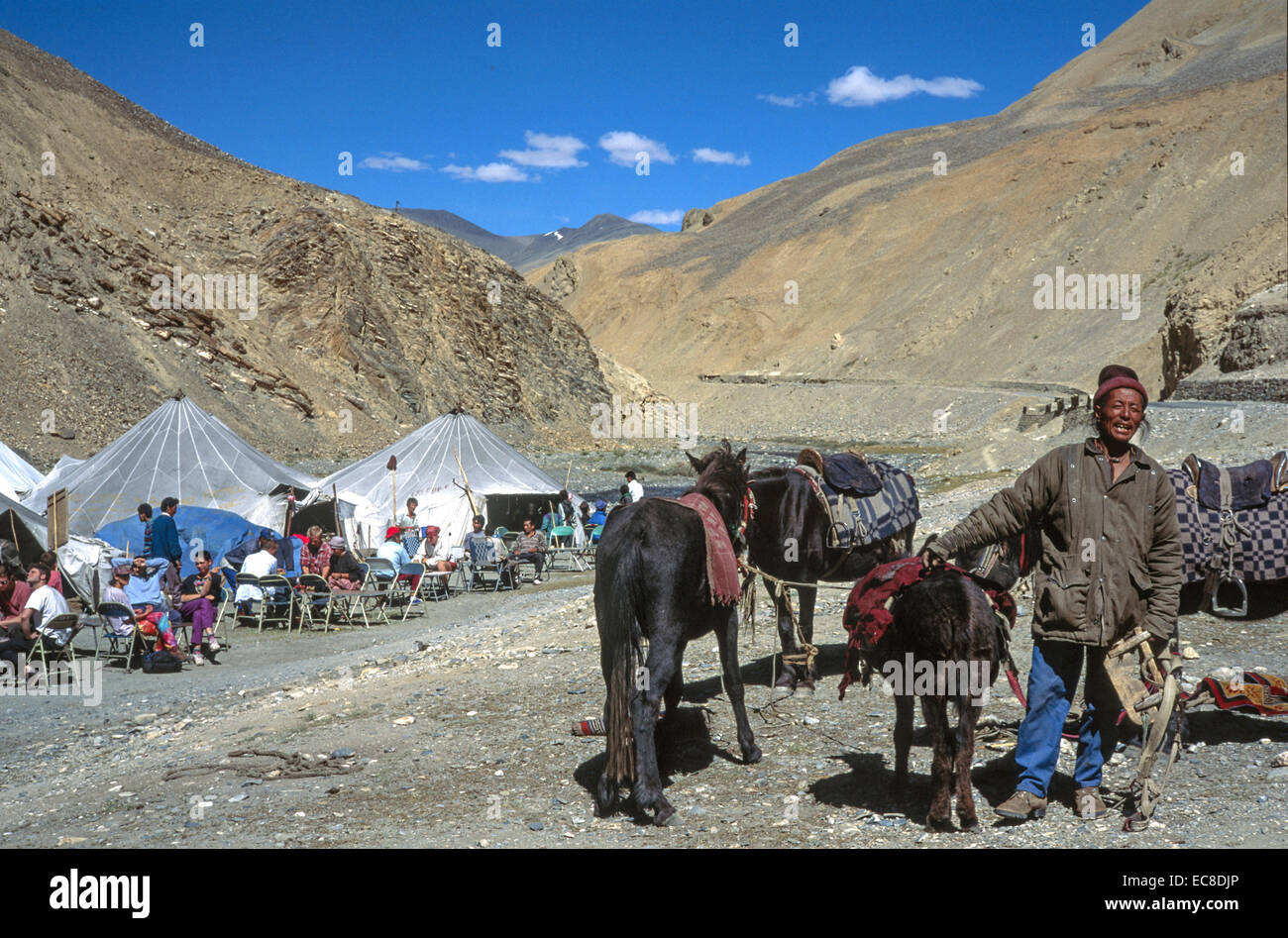 Ladakh Leh viaggiatori Minalu trans Himalaya. Yurta tende cafè Dhavas serve te aprire mountain pass pony blue sky nuvole Foto Stock