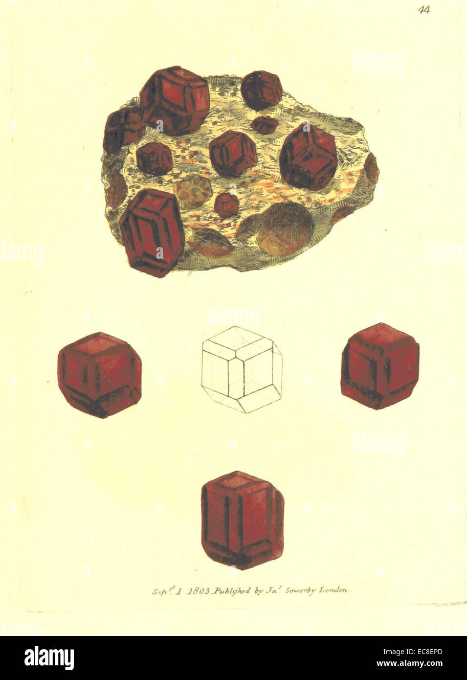 Un'illustrazione di Silex granatus da pagina 197 di "British Mineralogy" volume 1 (1804) di James Sowerby. Foto Stock