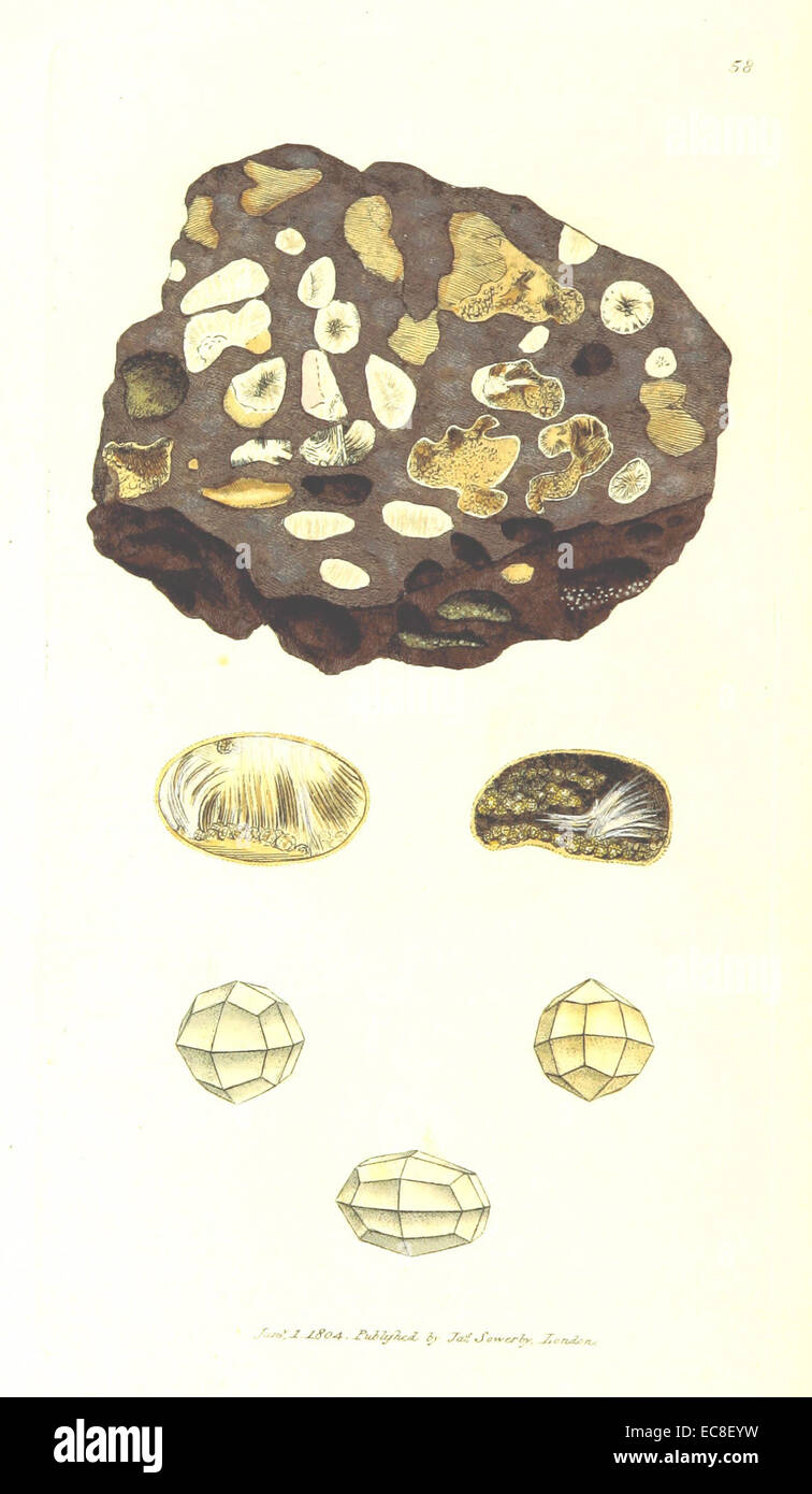 Questa pagina dell'edizione 1804 di *British Mineralogy*, volume 1, descrive in dettaglio la varietà minerale *Analcimus*, in particolare la forma fibrosa del minerale. Il testo fornisce informazioni scientifiche sulle sue caratteristiche e classificazione nella mineralogia. Foto Stock