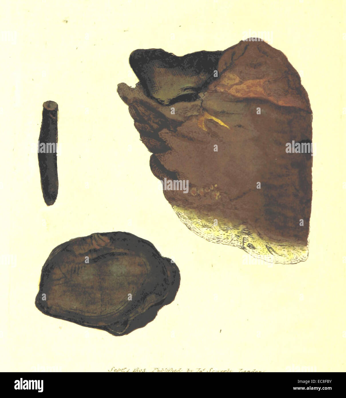 Un'illustrazione mineralogica da "British Mineralogy" (1806), volume 2, che mostra T140 (N.N.), un campione minerale specifico. Questo pezzo contribuisce allo studio dei minerali britannici all'inizio del XIX secolo. Foto Stock