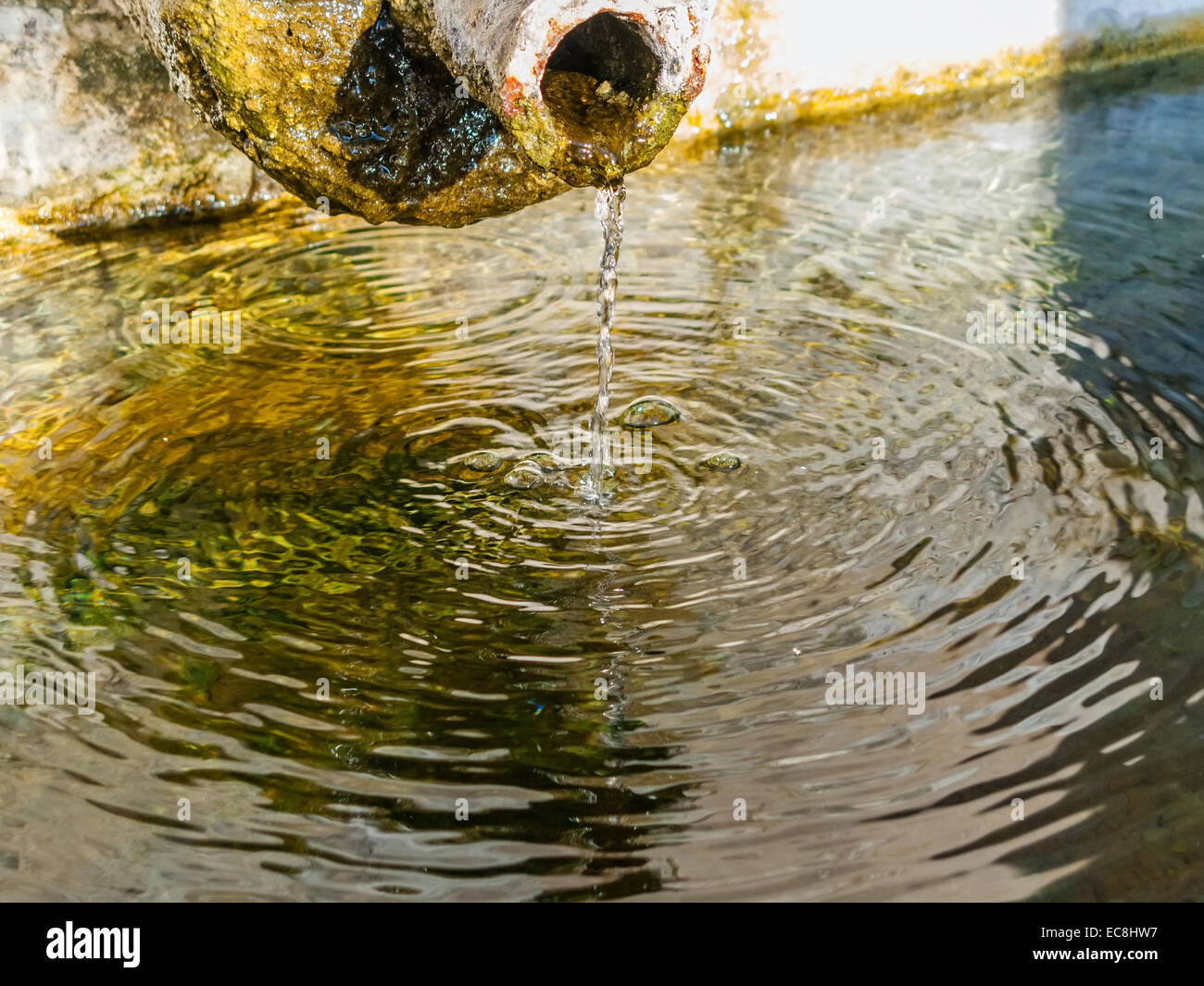 Dettaglio della fontana rinascimentale in Piazza della Repubblica, Alter do Chão, distretto di Portalegre, Portogallo. Foto Stock