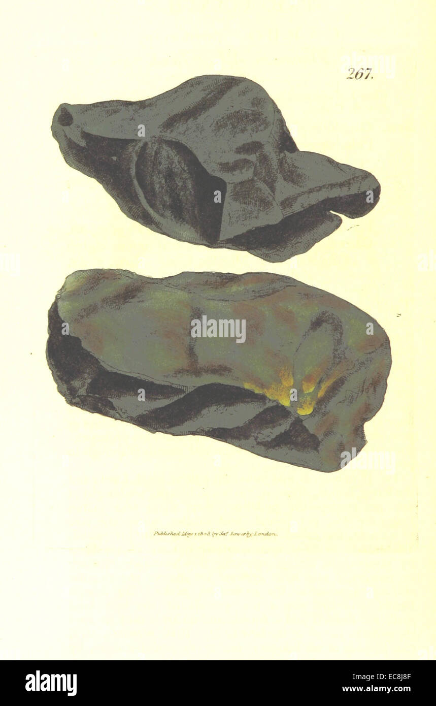 British Mineralogia Vol.3 (1809) p272 T267 C ARBO ferriferum. Foto Stock