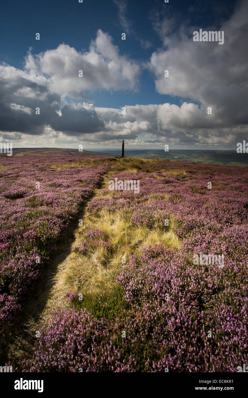 Pietra permanente, Blakey Ridge, North York Moors National Park Foto Stock