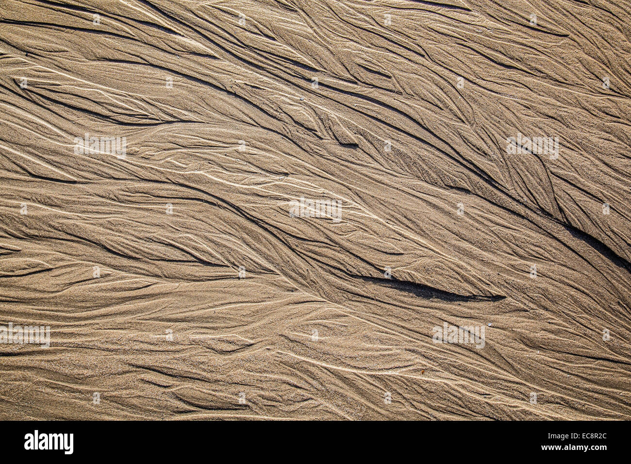 Schema di flusso su di una spiaggia di sabbia lasciate dalla marea sfuggente Foto Stock