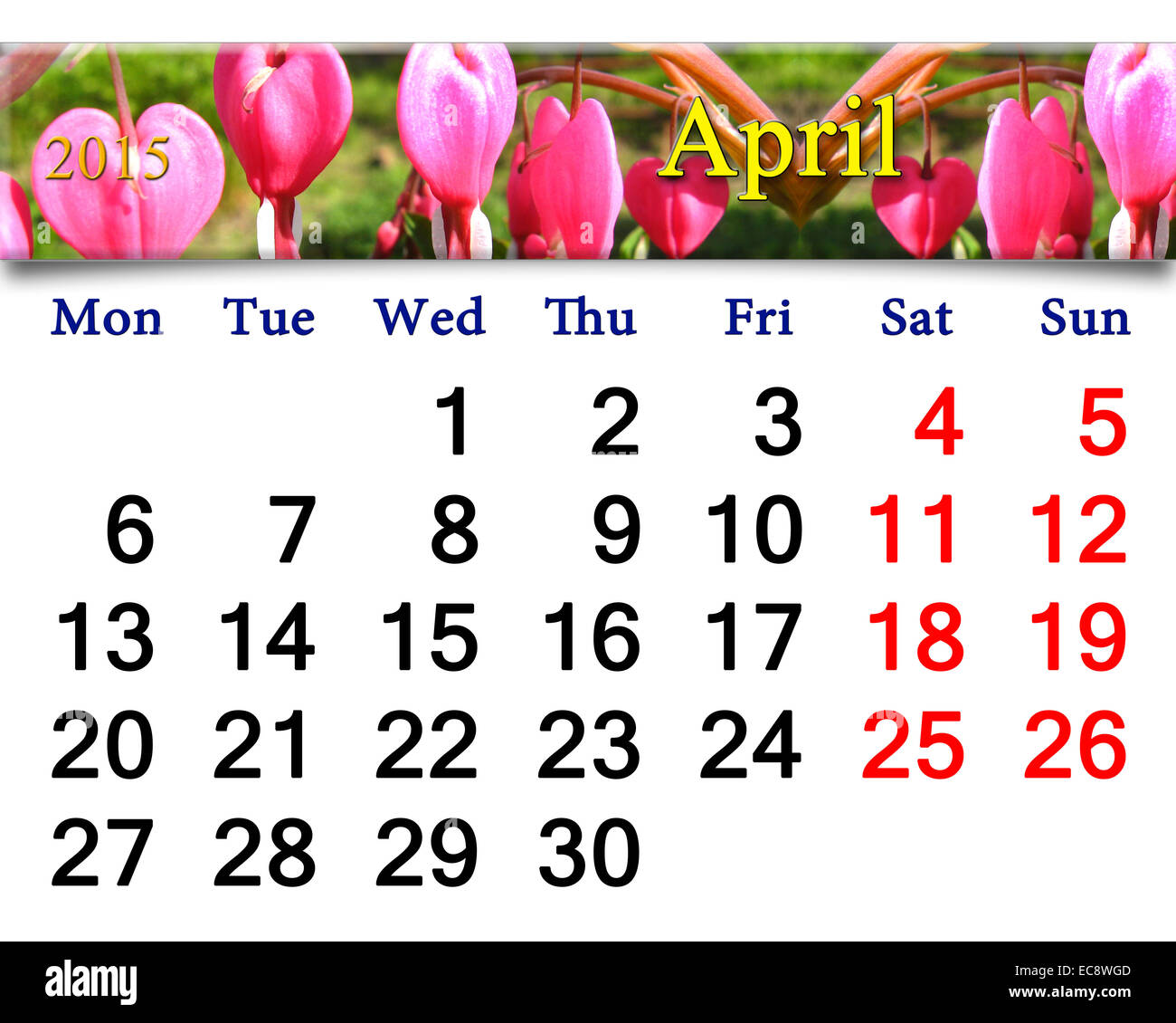 Calendario per il mese di Aprile di 2015 anno con nastro di fioritura dicentra Foto Stock