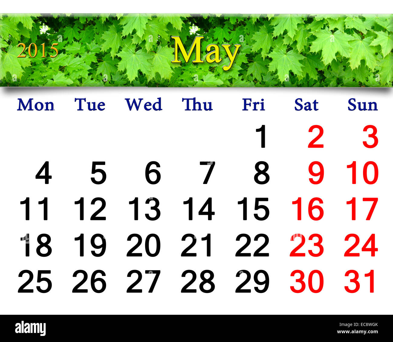 Calendario per il mese di maggio del 2015 Anno sullo sfondo di acero verde Foto Stock