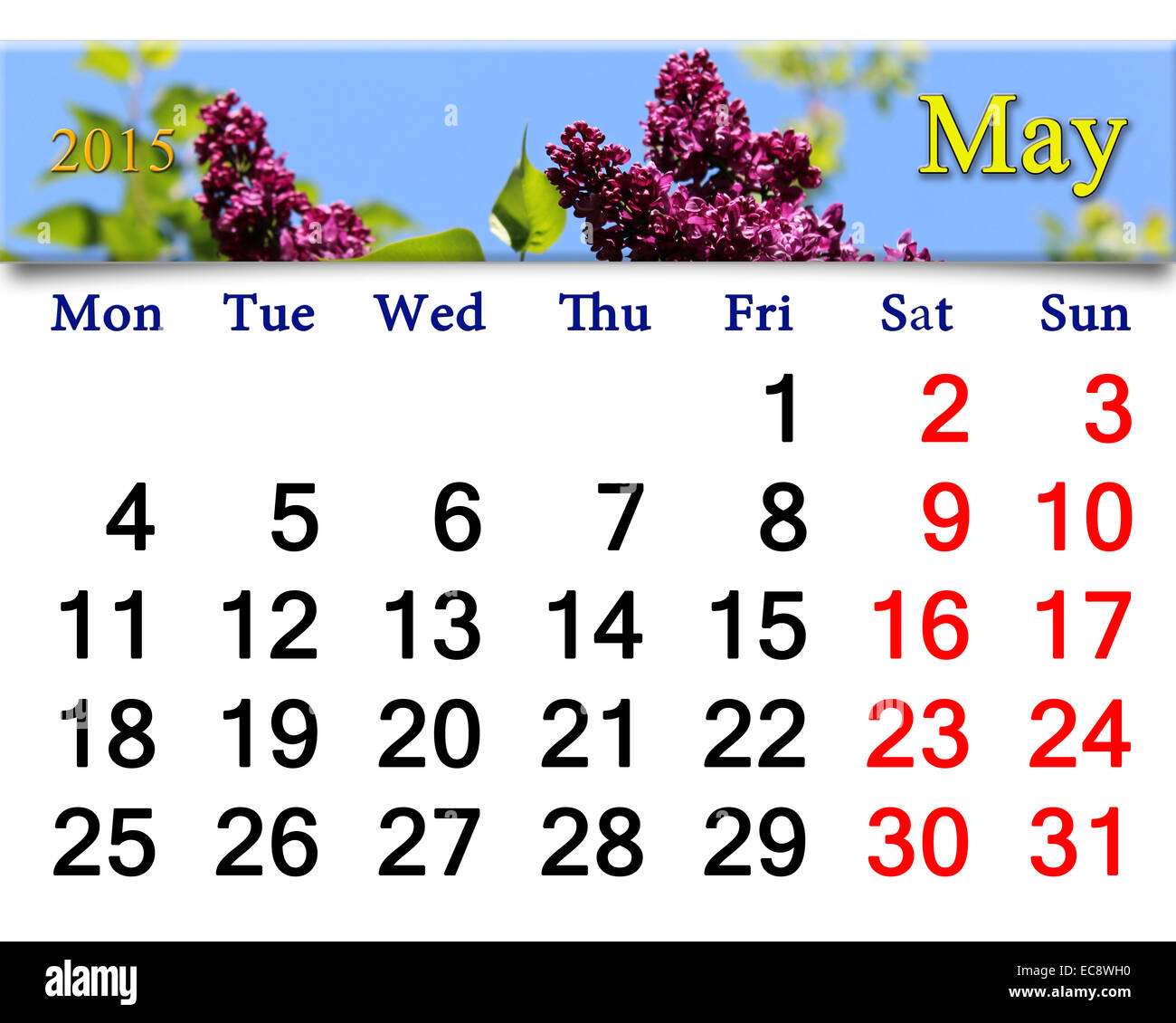 Calendario per il mese di maggio del 2015 con fiori di lillà Foto Stock