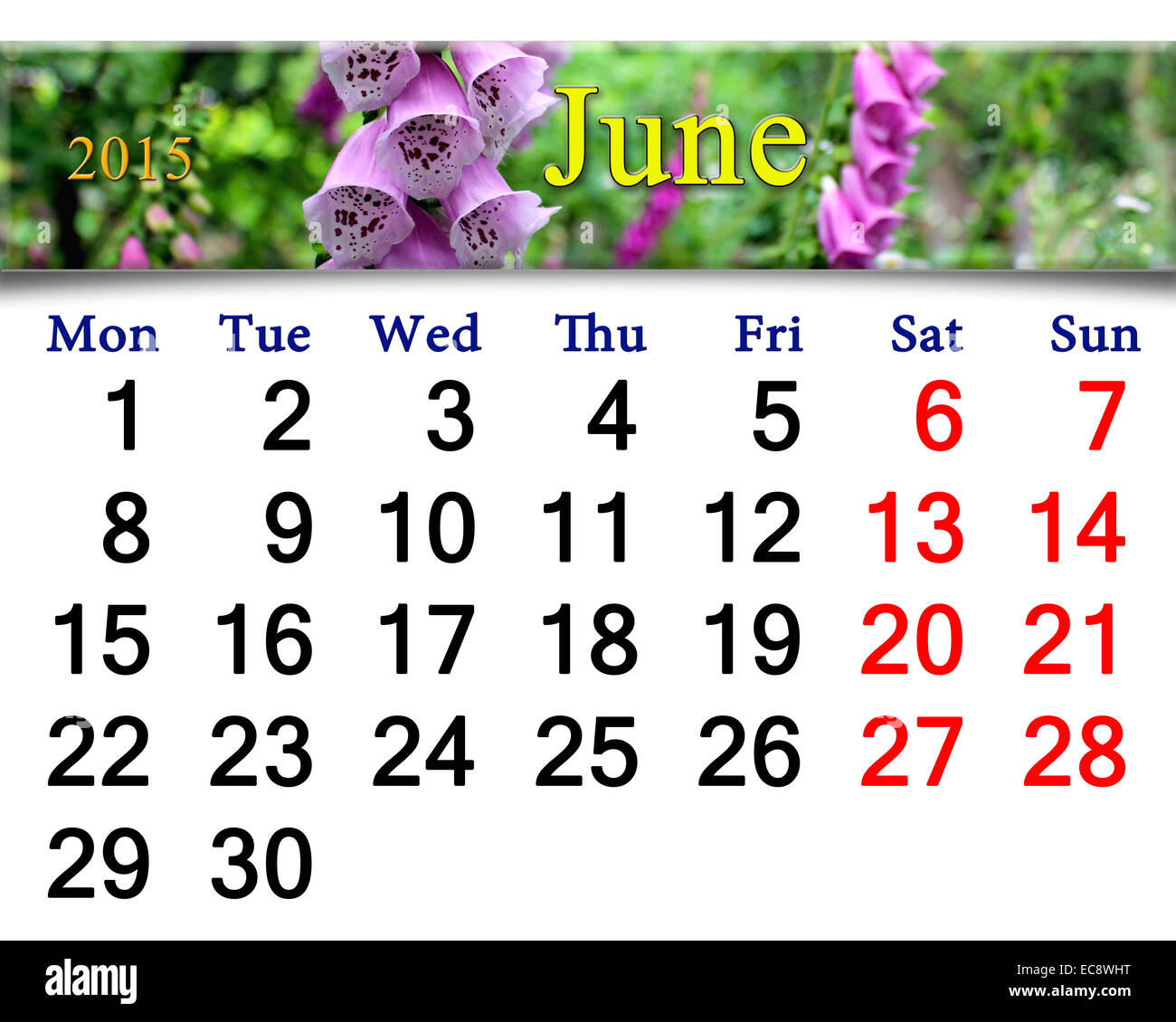 Calendario per il mese di giugno del 2015 con fiori di fiori lilla bluebells Foto Stock