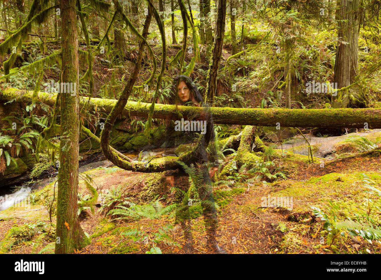Una lunga esposizione di una donna nel cofano, apparendo come una immagine fantasma nella foresta Foto Stock