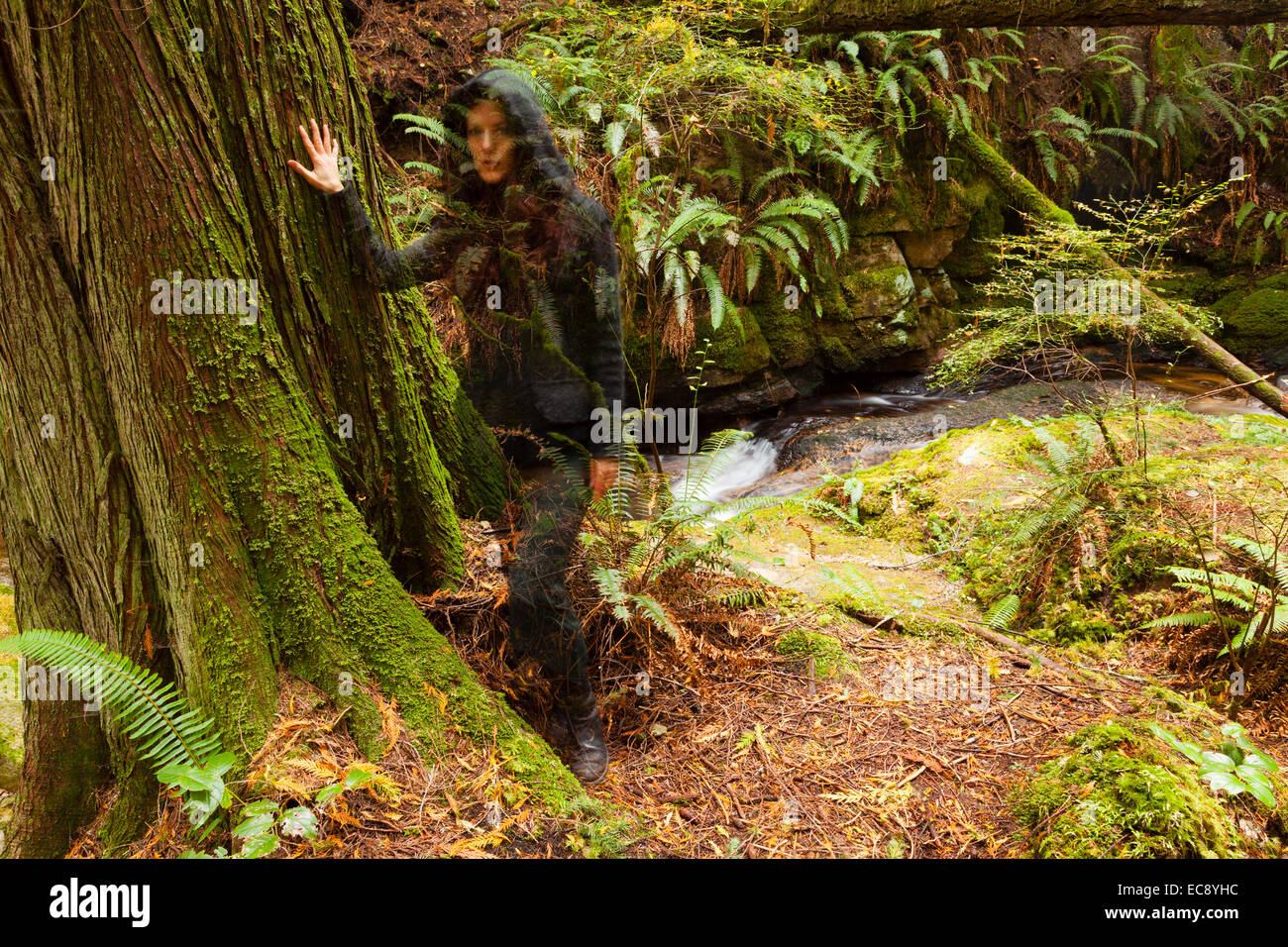 Una lunga esposizione di una donna in felpa con cappuccio, apparendo come una immagine fantasma nella foresta Foto Stock